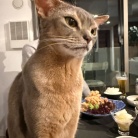 だんなさまごはんの、唐揚げ定食の夜ごはん