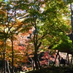 ジュピターのブログ～令和徒然紀行～　