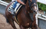 【競馬】　武豊と浜中の筋肉の違いwww　　【画像】