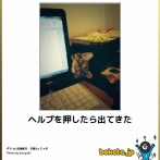 【カオス警報】IQ3になる画像しか貼られないスレｗｗｗｗｗ