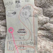 �ϥ졼����󡡿������ס����ͥ��Х줢��