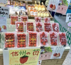 信濃の風（さいたま市大宮区）