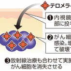 がん細胞だけを破壊するウイルス、爆誕