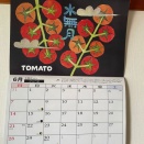 6月4日　もうすぐ梅雨入りかな。
