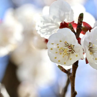 りっくの初心者のためのボウリング講座