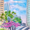 都心のカワズザクラをスケッチ