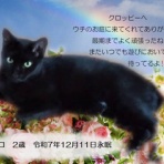 ペットセレモニーベル天国の天使達