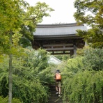 「藍川京」の部屋