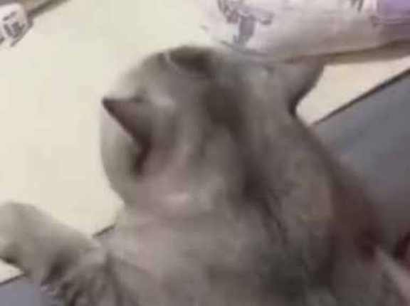 女の子がベッドで熟睡していた。彼も一緒に寝たかった。でもそれはダメ！ → こうなった…