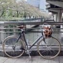 名残の桜と日比谷公園のネモフィラポタ