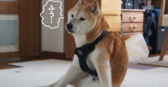 貫太も？？