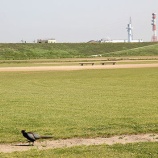 『ヒョウ混じりのゲリラ豪雨』の画像