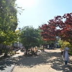 さつきヶ丘保育園