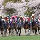 桜花賞が混戦だと言う風潮