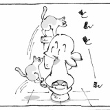 うちの犬のルカ。【８８】