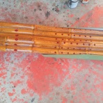 ももんがの飛膜