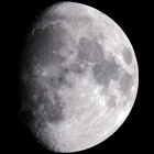 『南天低くに輝く月齢11.3のお月様 ☆彡』の画像