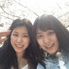 新年度。舞台。桜。