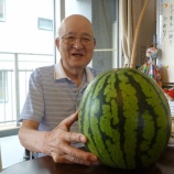 『夏と言えば・・・🎇🎐🍉』の画像