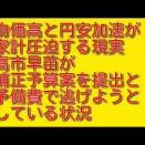 物価高と円安加速が家計圧迫する現実：高市早苗が補正予算案を提出と予備費で逃げようとしている状況