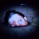 切り株画像（映画『V/H/S 94』より、血みどろの惨劇）