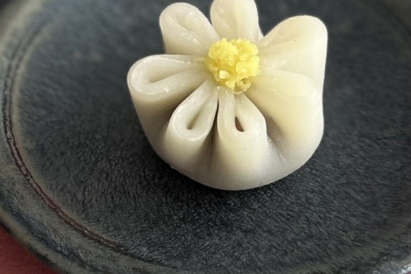 菓子皿　光琳の松　文 Amazon.co.jp: 453-6 たち吉銘々皿 検 梅菊紅葉光琳蒔絵レトロ飾
