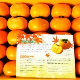 『超高齢化社会を生き抜くために（3900回記念）（93）免疫力アップ作戦（77）』の画像