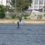JPN-17Blog