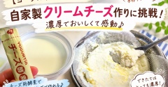 【ヨーグルトメーカー】自家製クリームチーズ作りに挑戦！濃厚でおいしくて感動♪