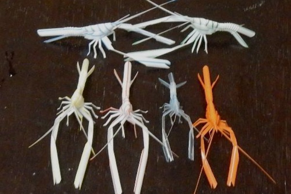 定年生活 ストローエビ