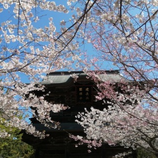 ちょっと幸せ、ずーっと幸せ