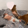 赤ちゃんを見守る猫たち｜50代、可愛いに囲まれる毎日