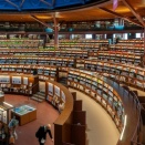 図書館にすみたい