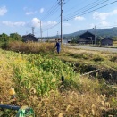 私はなにもしていない・・・・