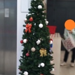 みどりむし in ヨーロッパのどこか（４）