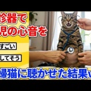 【2ch動物スレ】お腹の子供の心音を聴診器で聴いた妊婦猫の反応ｗｗｗｗｗ