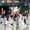 稲葉ジャパンの勝因wwwwwwww