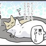 くららんち。～B型夫婦と猫２匹の日常～