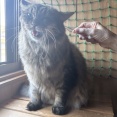 獣感あふれるマロちゃん
