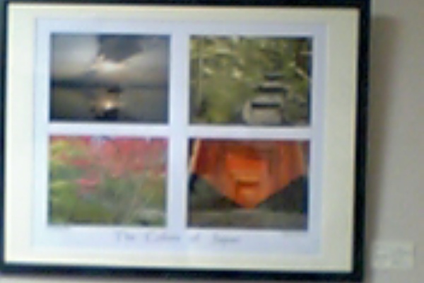 居酒屋きょうこ 能登大好き みんな大好き きょうこママ 熊谷京子 の紹介