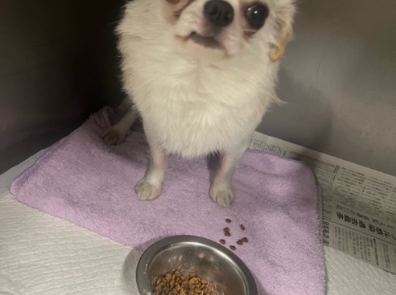 今日の新入りさん達です。