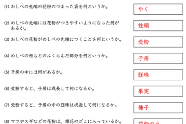 時空先生の漢字マラソンプリント 一問一答