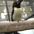 掛川花鳥園　その2
