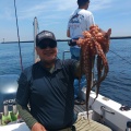 6月1日の釣果