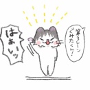 2026運動会のこと