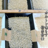 『令和7年度初検査』の画像