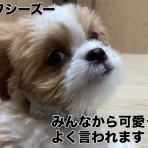 千葉県成田市　ワンラブ　イオン成田富里店ブログ