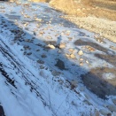 明日からは再び市田柿出張販売