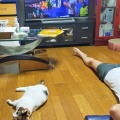 そんな怒らんでもな…