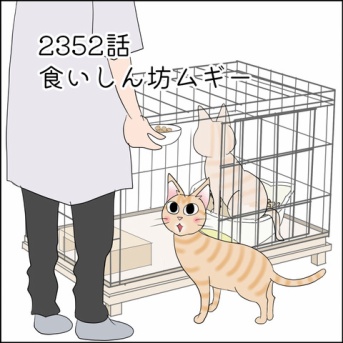 あんこ＆麦2352 食いしん坊ムギー前編